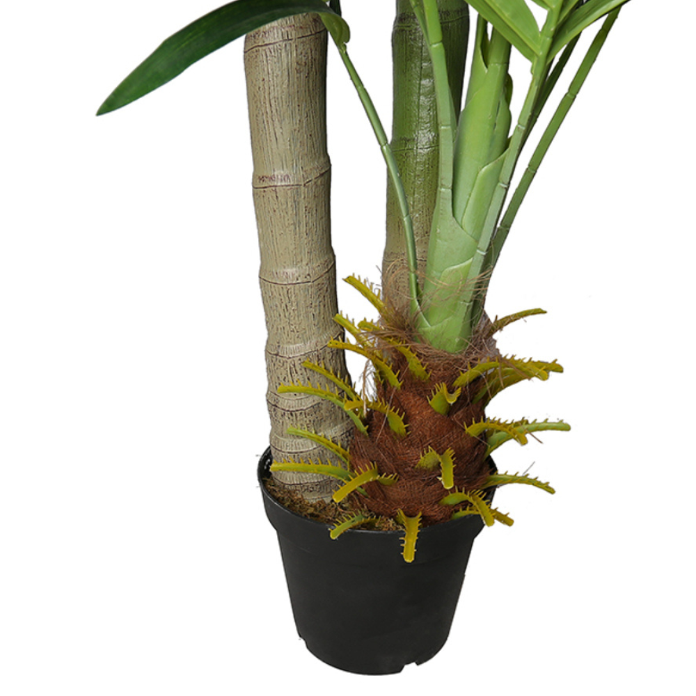 Indoor Decorative Areca Catechu Tree