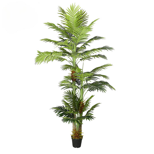 Indoor Decorative Areca Catechu Tree