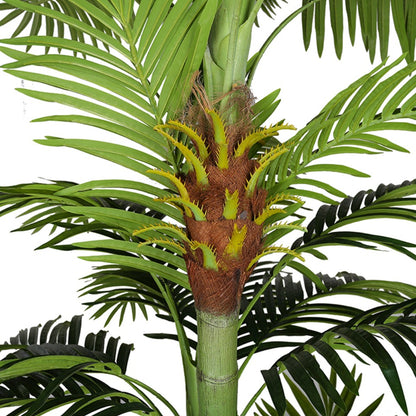 Indoor Decorative Areca Catechu Tree