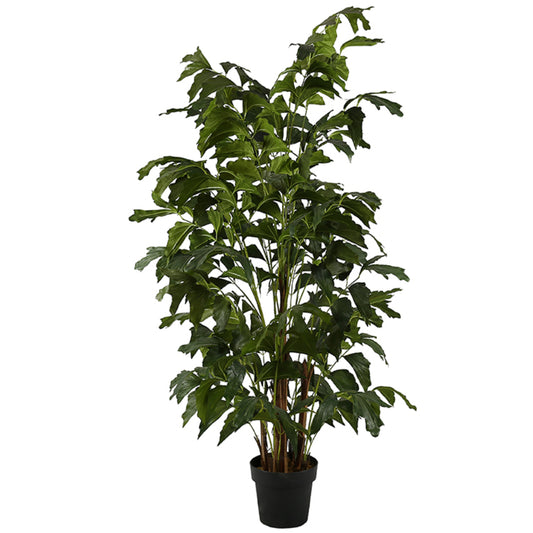 Indoor Decorative Fishtail Tree