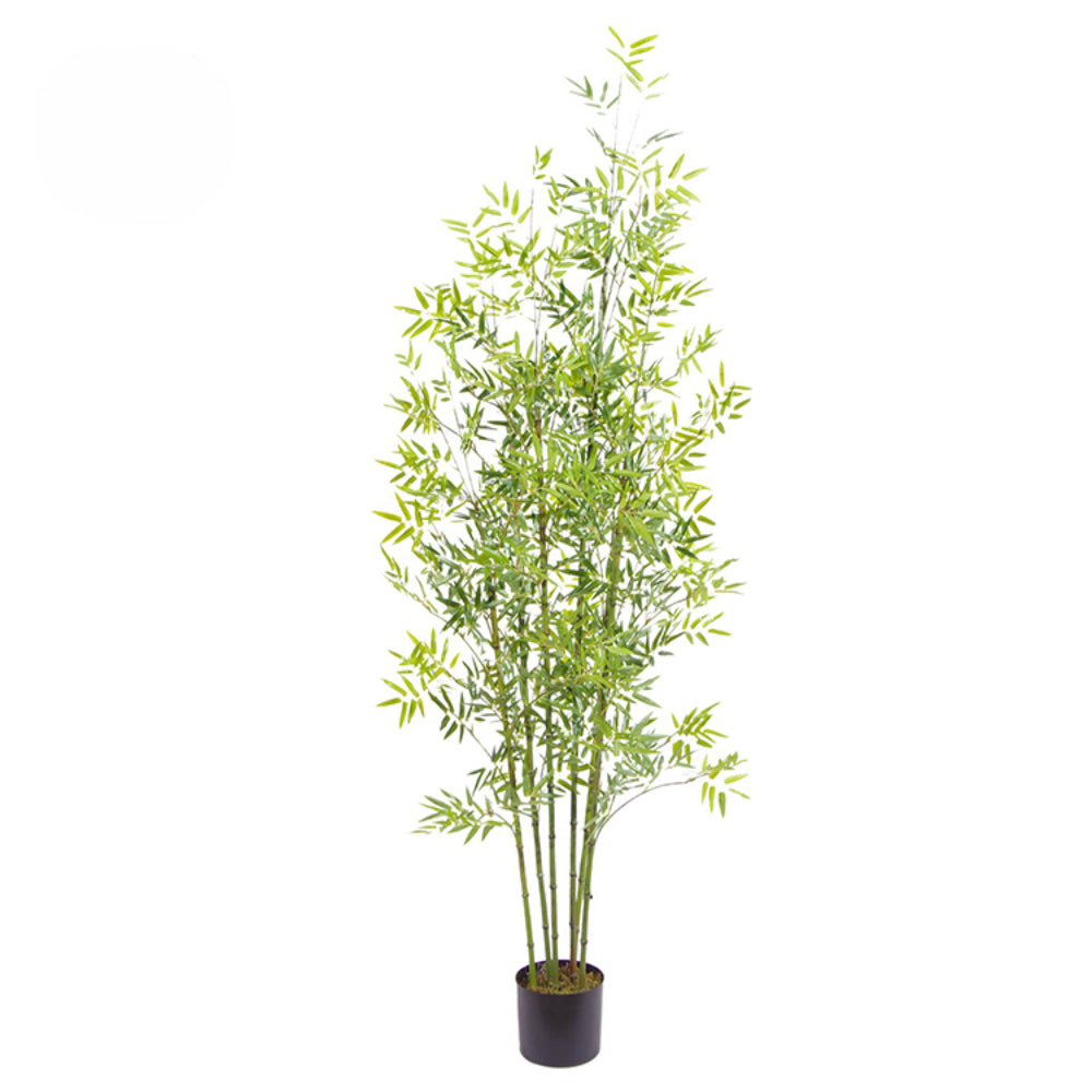 Indoor Elegance Bamboo Trees