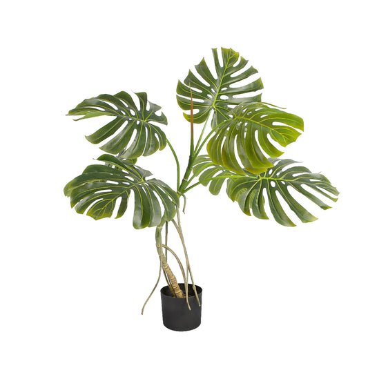 Indoor Elegance Monstera Plant Trees