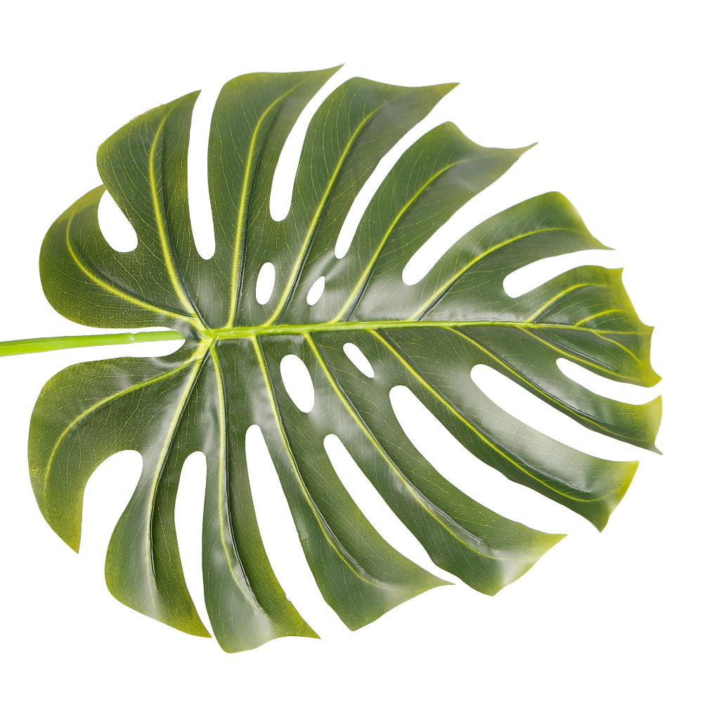 Indoor Elegance Monstera Plant Trees