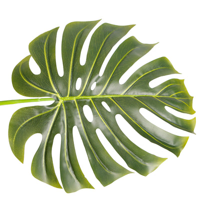 Indoor Elegance Monstera Plant Trees