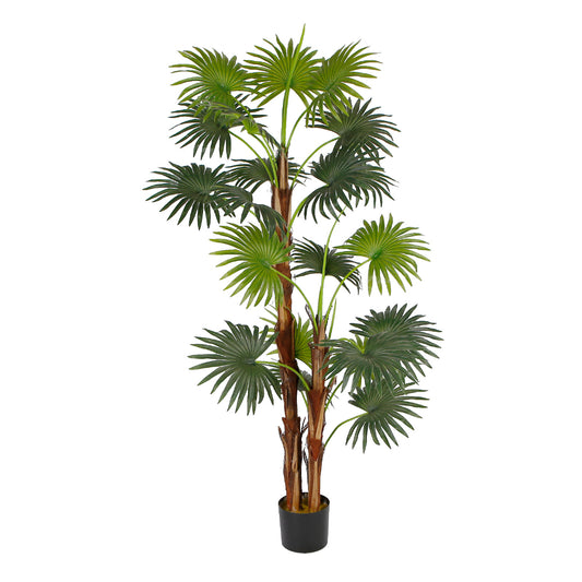 Indoor Fan Trees Decoration