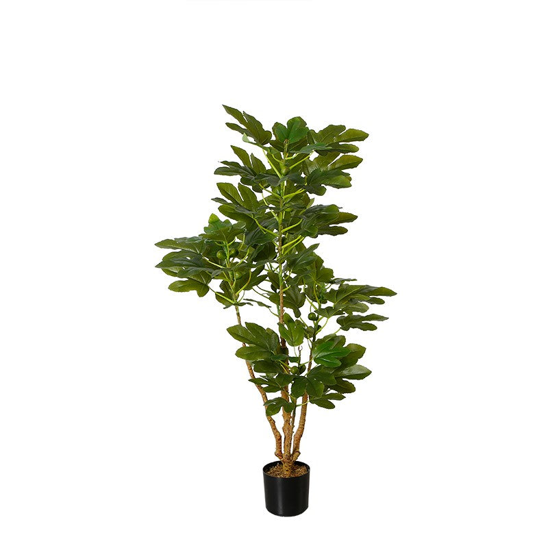 Indoor Faux Fig Tree for Home And Office Decor