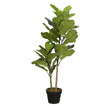 Indoor Fiddle Leaf Fig Tree