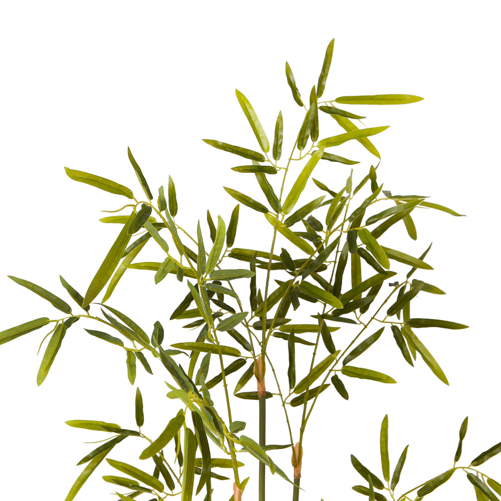 Indoor Imitation Bamboo Plant