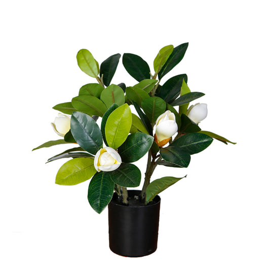 Indoor Orchid Tree Decoration