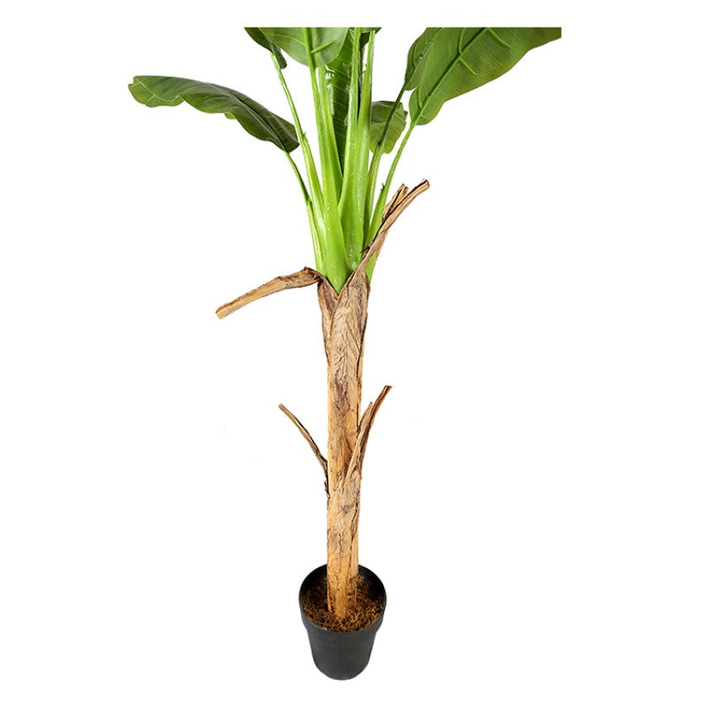 Large Artificial Banana Tree