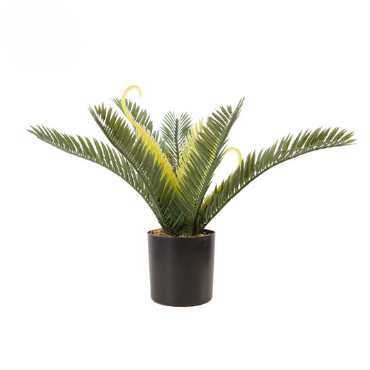 Melody Artificial Cycas Plant