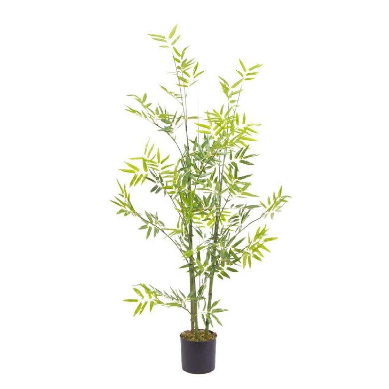 Mini Bamboo Tree For Furniture Decoration