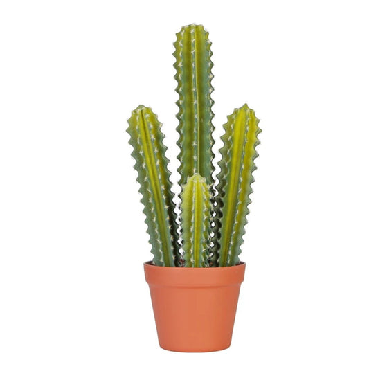 Artificial Mini Cactus Plant