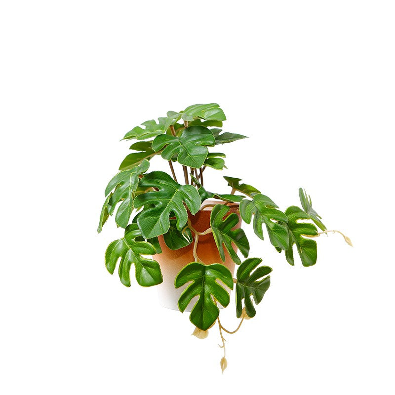 Miniature Artificial Monstera Bonsai Tree