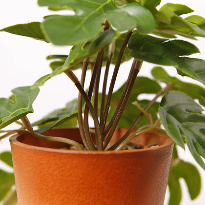 Miniature Artificial Monstera Bonsai Tree