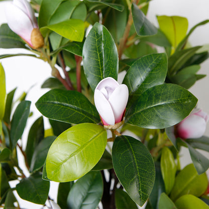 Minimalist Artificial Magnolia Tree