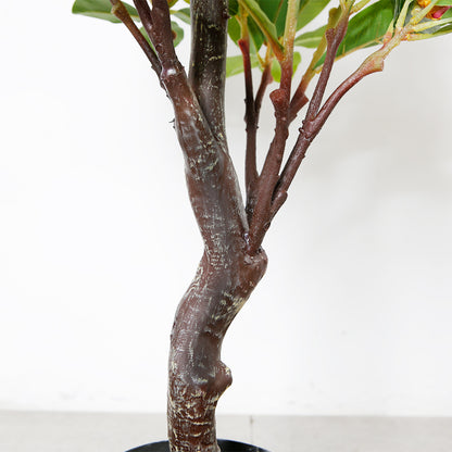 Minimalist Artificial Magnolia Tree