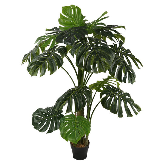 Monstera Deliciosa Tree For Mall Ornamentation