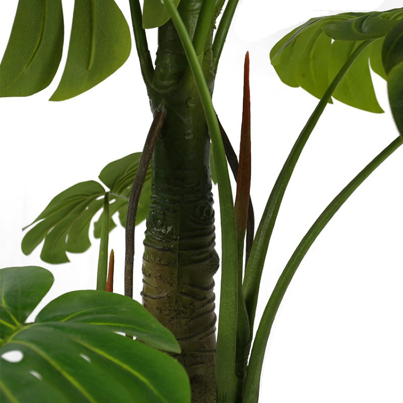 Monstera Deliciosa Tree For Mall Ornamentation