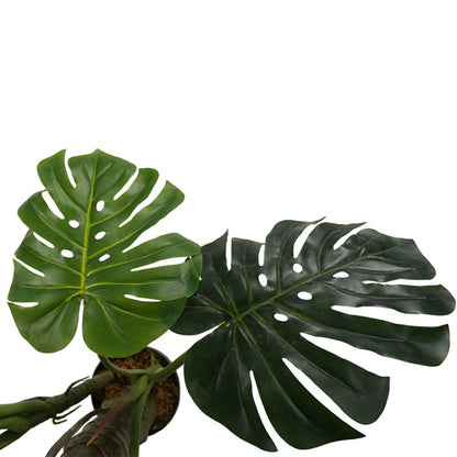 Monstera Deliciosa Tree For Mall Ornamentation