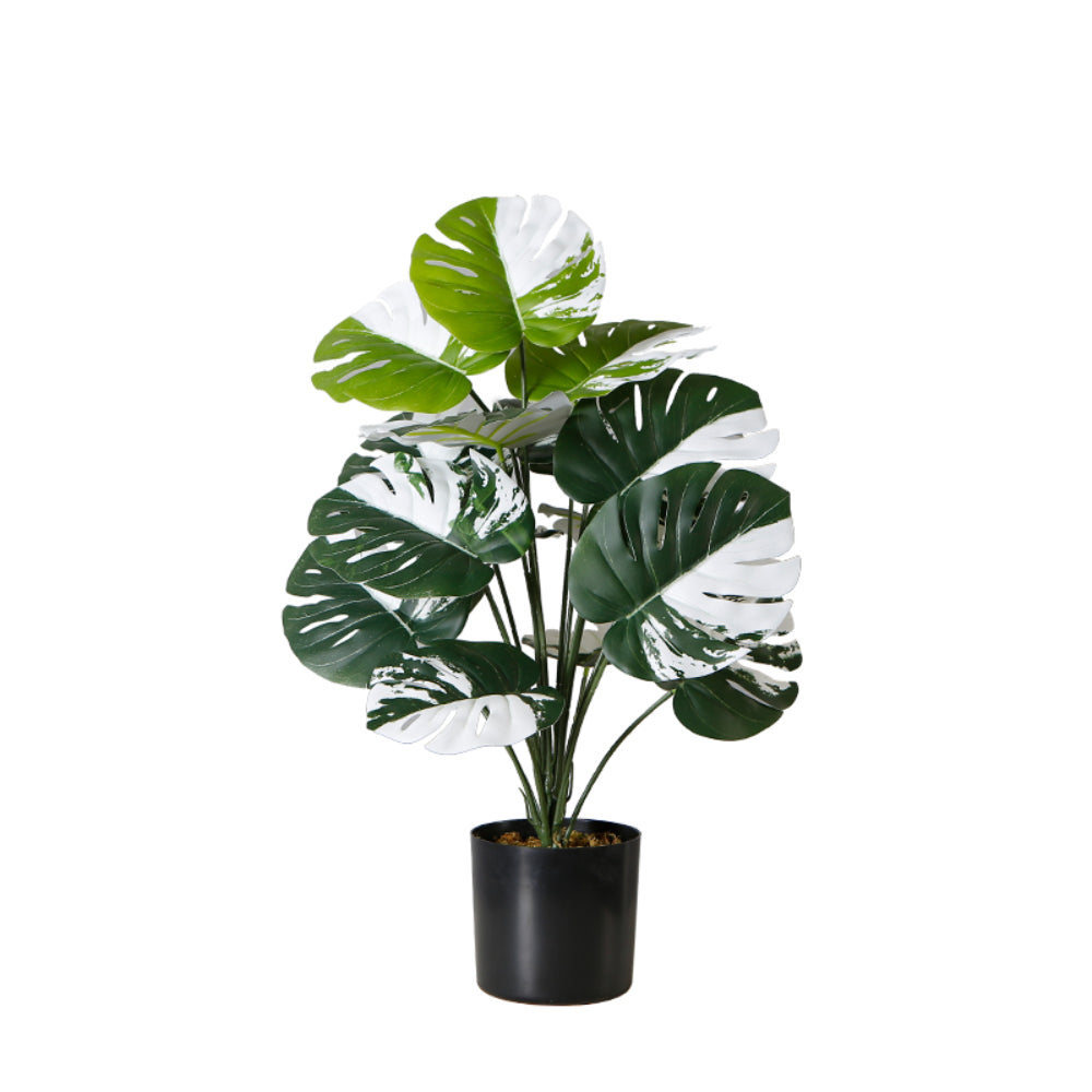 Monstera Indoor Plant Pot