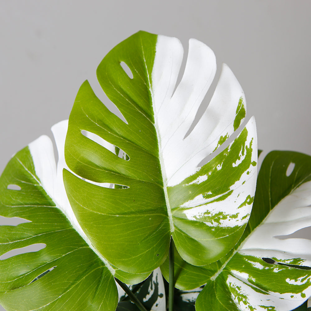 Monstera Indoor Plant Pot