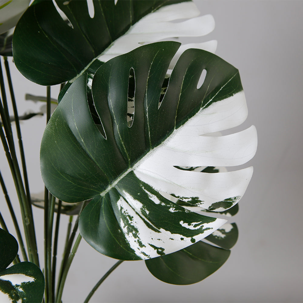 Monstera Indoor Plant Pot