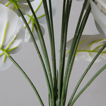 Monstera Indoor Plant Pot