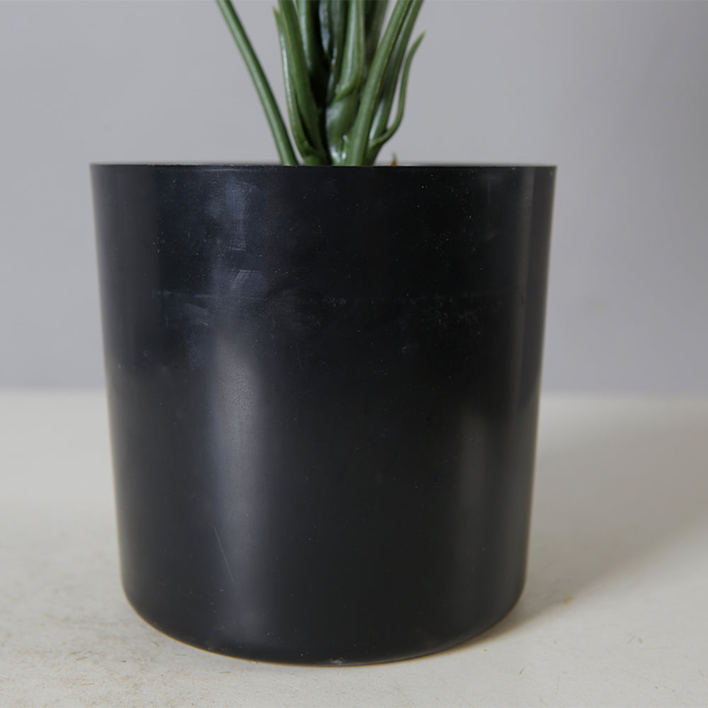 Monstera Indoor Plant Pot