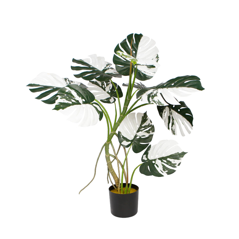 Monstera Plant Trees Decoration