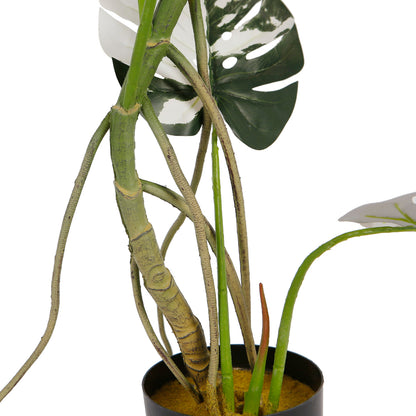 Monstera Plant Trees Decoration