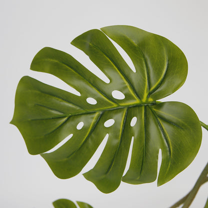 Monstera Plant Trees Indoor Decoration