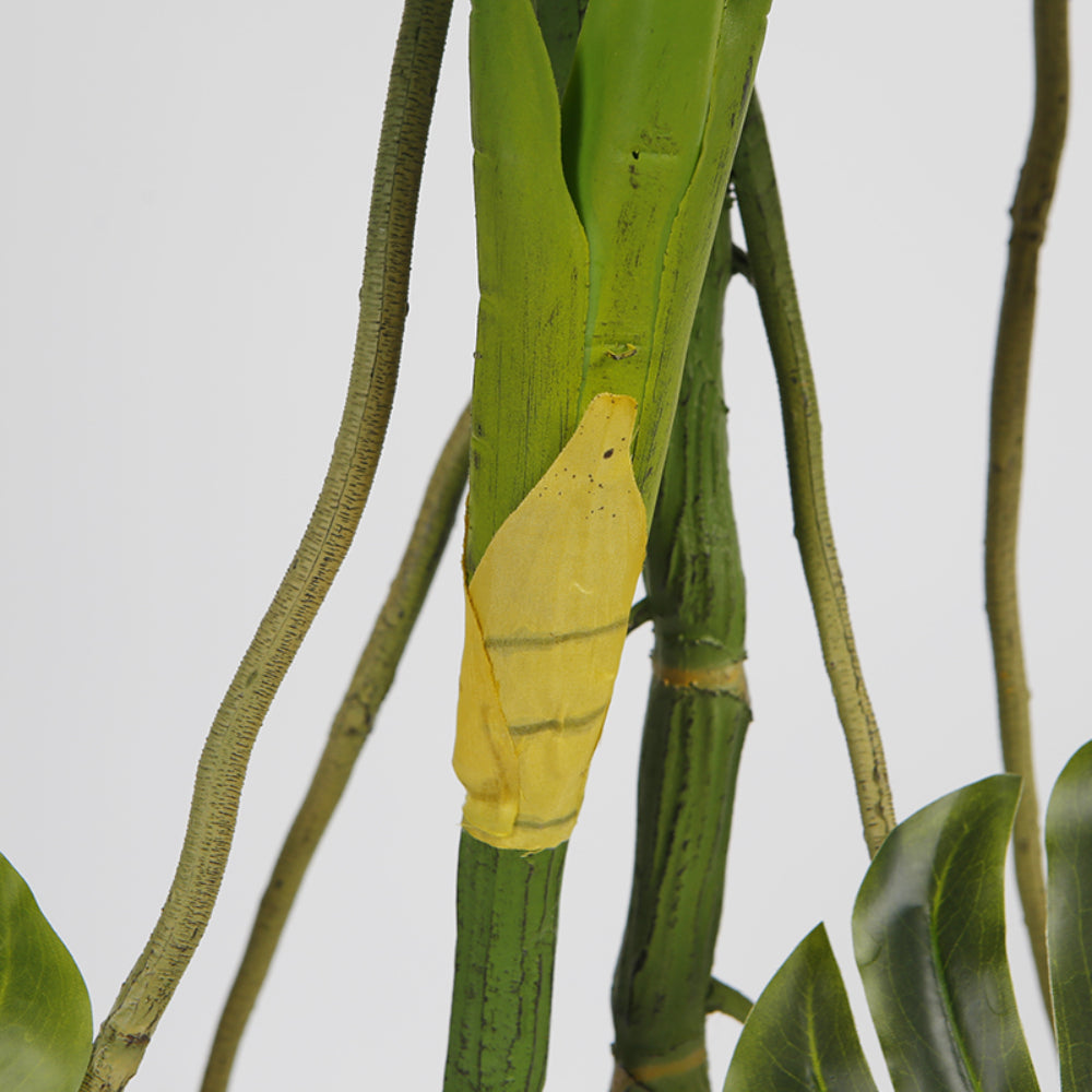 Monstera Plant Trees Indoor Decoration