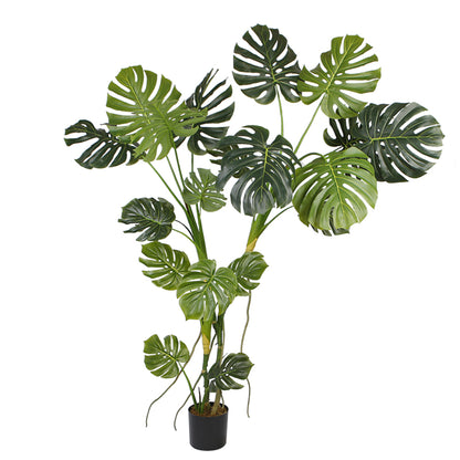 Monstera Plant Trees Indoor Decoration