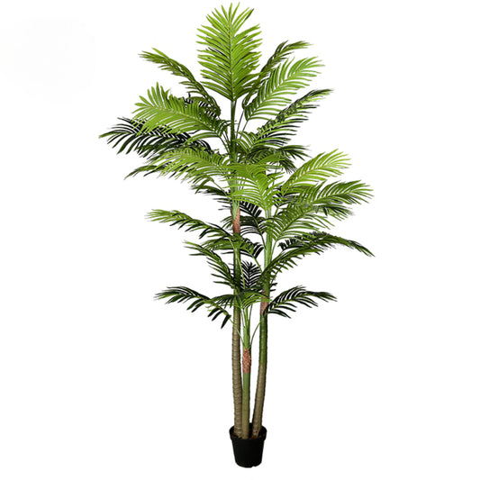 Natural Elegance Betel Tree
