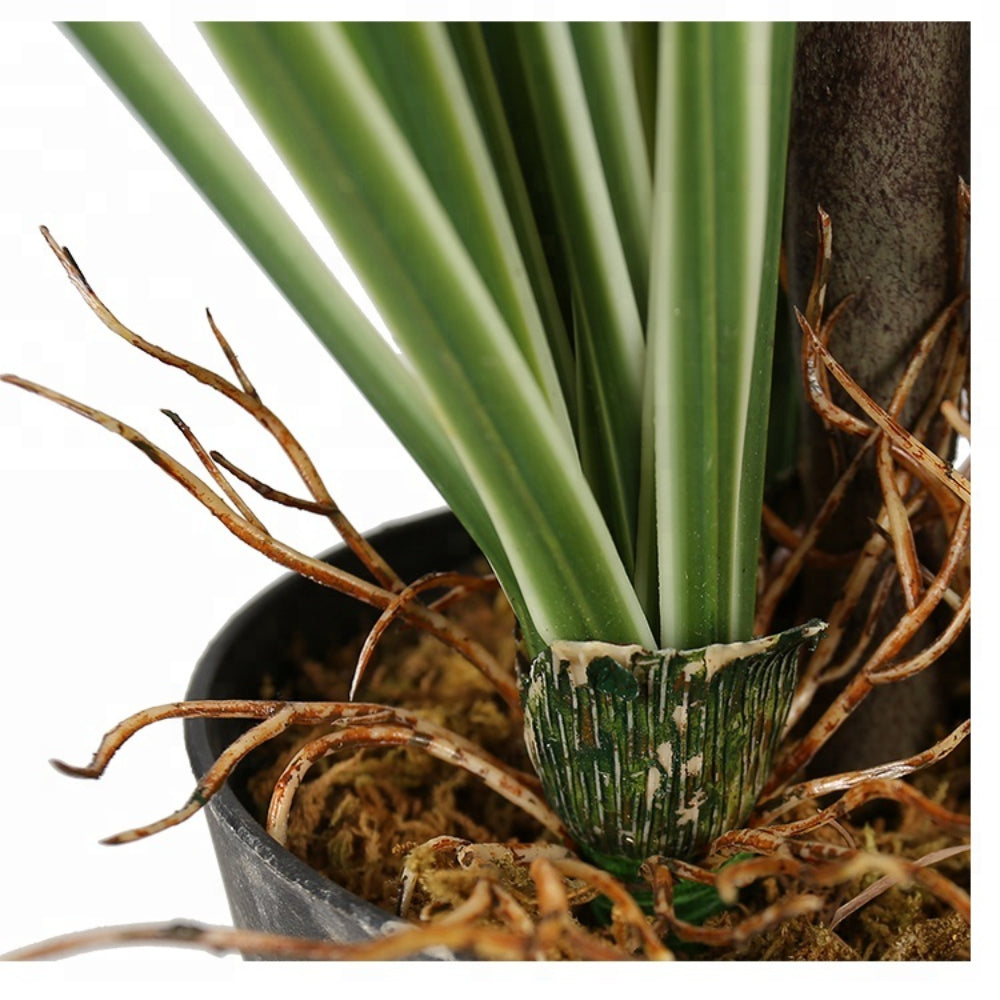 Onion Grass With Basket