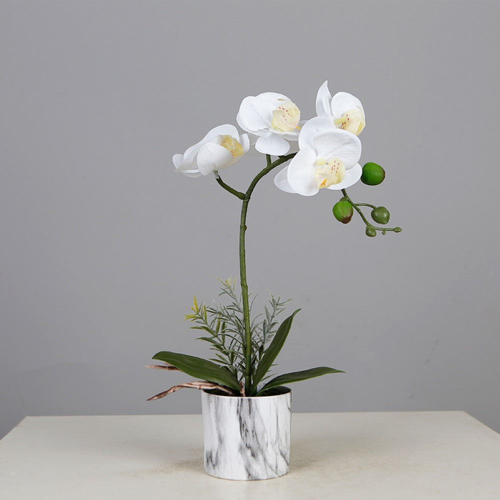 Orchid Flower Pot