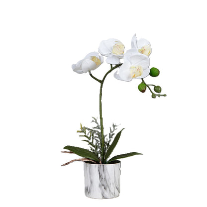 Orchid Flower Pot