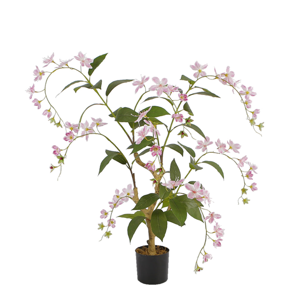 Orchid Tree For Indoor Decoration