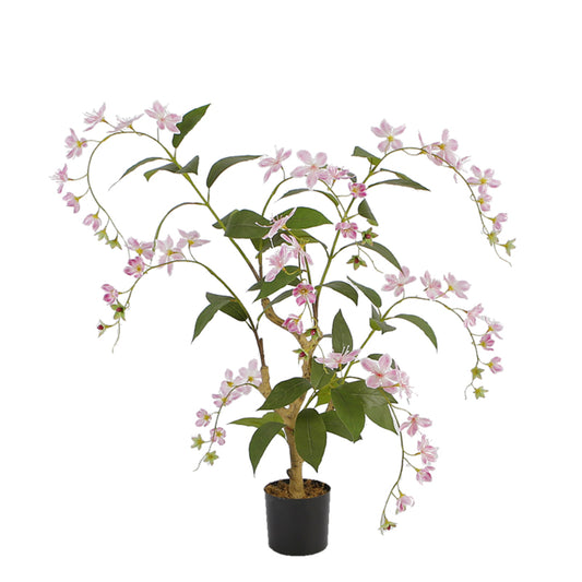 Orchid Tree For Indoor Decoration