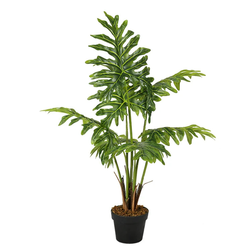 Philodendron Schott Plastic Plant