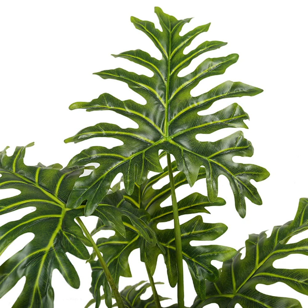 Philodendron Schott Plastic Plant