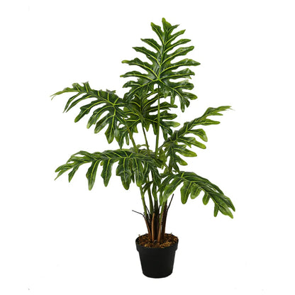 Philodendron Schott Plastic Plant