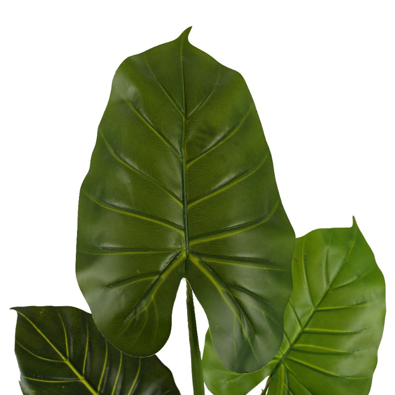 Plastic Elephant Ear Tree