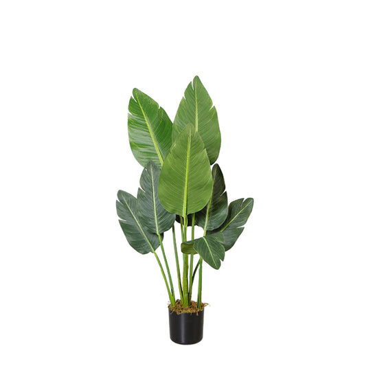 Potted Tropical Plant Decoration