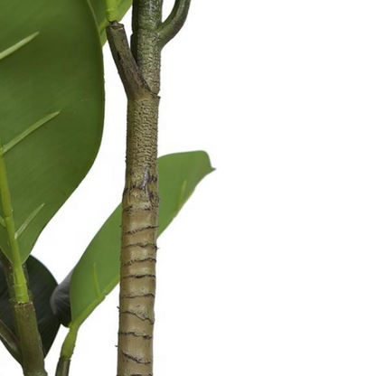 Realistic Artificial Rubber Plant