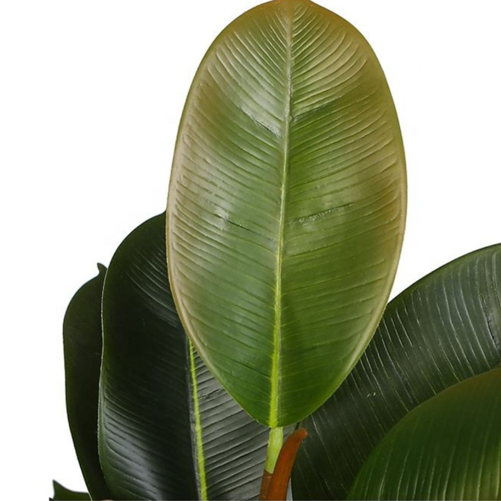 Realistic Artificial Rubber Plant