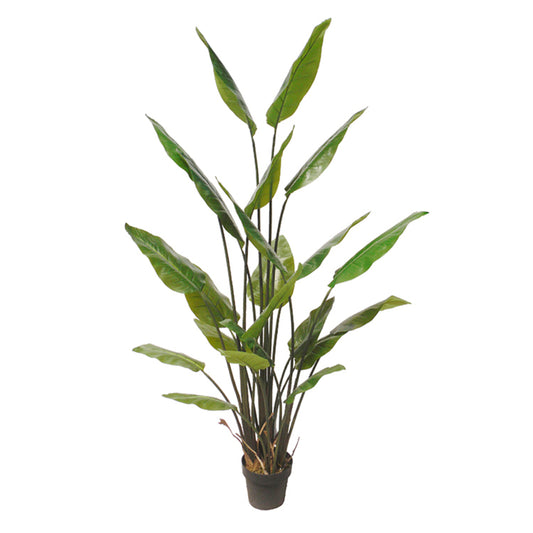 Realistic Artificial Zamioculcas Plant