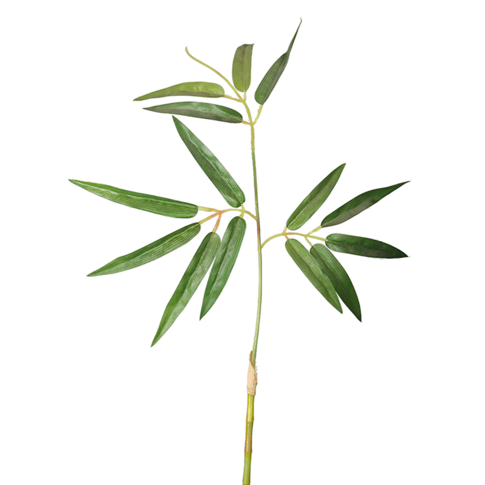 Realistic Bamboo Tree