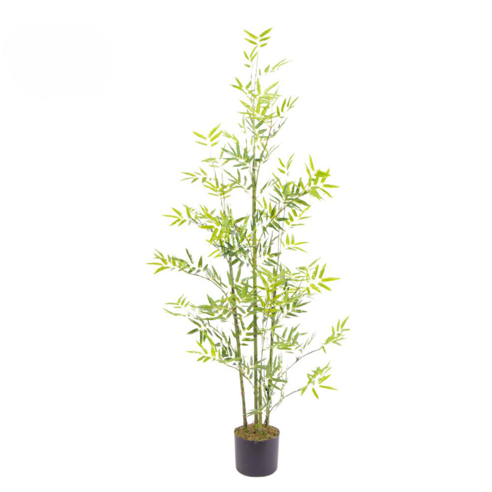 Realistic Bamboo Tree